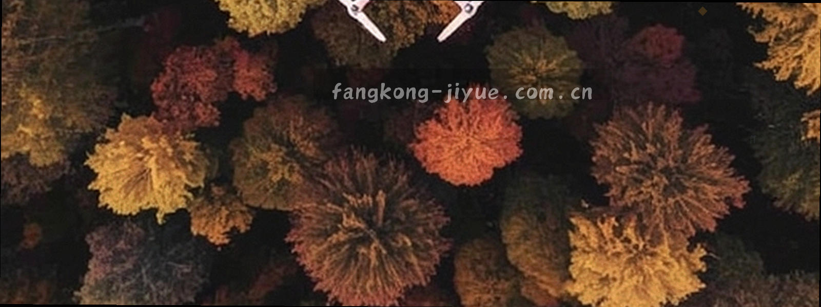 深蓝紫底色上由细线构成的抽象波纹与环状结构，中心透出一点淡青色微光